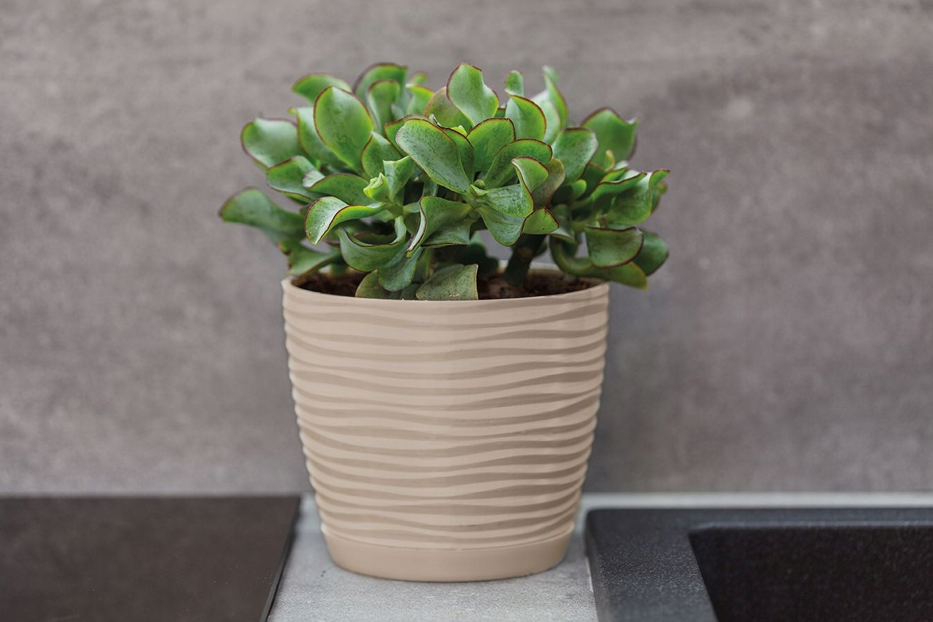 Doniczka Flower Pot Sahara mały 3030 D16.7 051 – Idealna do Twojego wnętrza