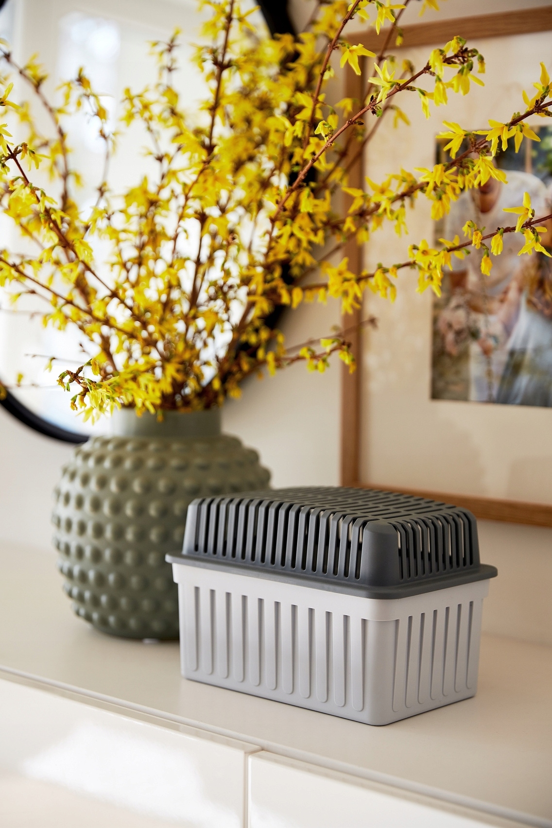 Ochrona przed wilgocią, pleśnią i nieprzyjemnymi zapachami