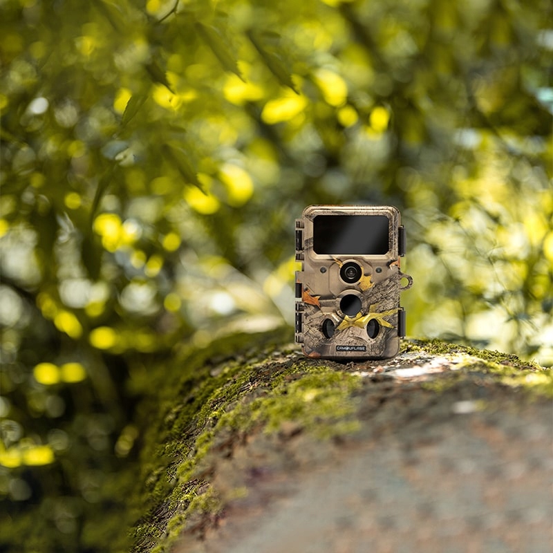 Fotopułapka Camouflage EZ60 – Idealna do obserwacji dzikiej przyrody