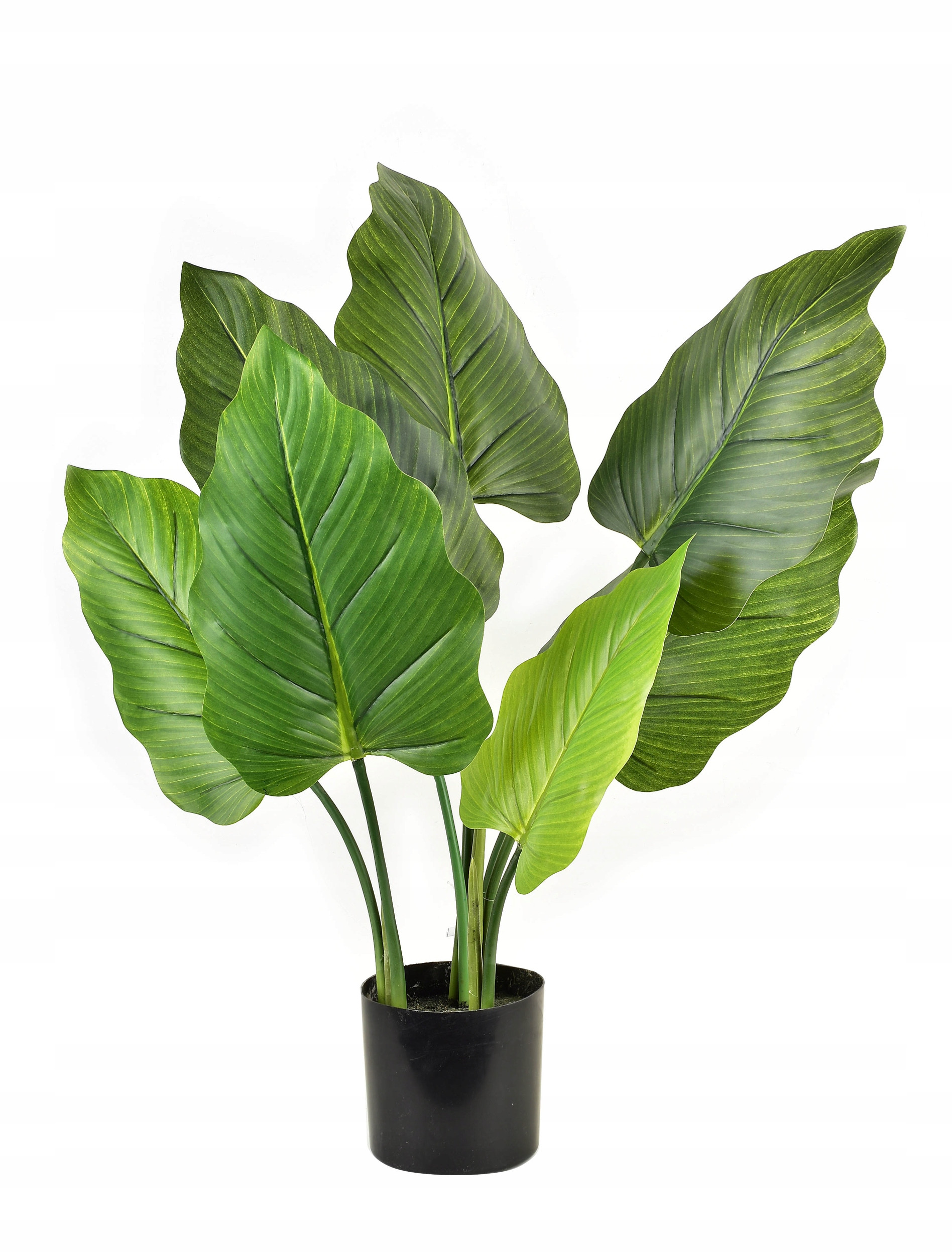 Sztuczny kwiat VIRIDIS Alocasia 65 cm w doniczce – Elegancja i natura w Twoim wnętrzu