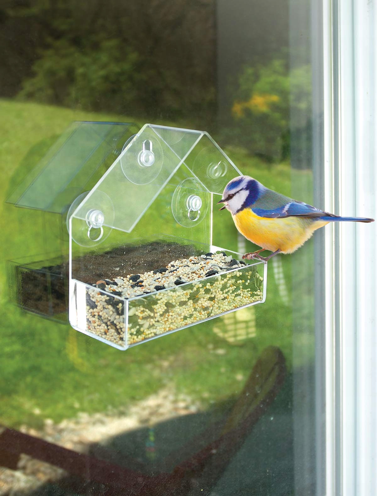 Przezroczysty materiał – Estetyka i funkcjonalność w jednym