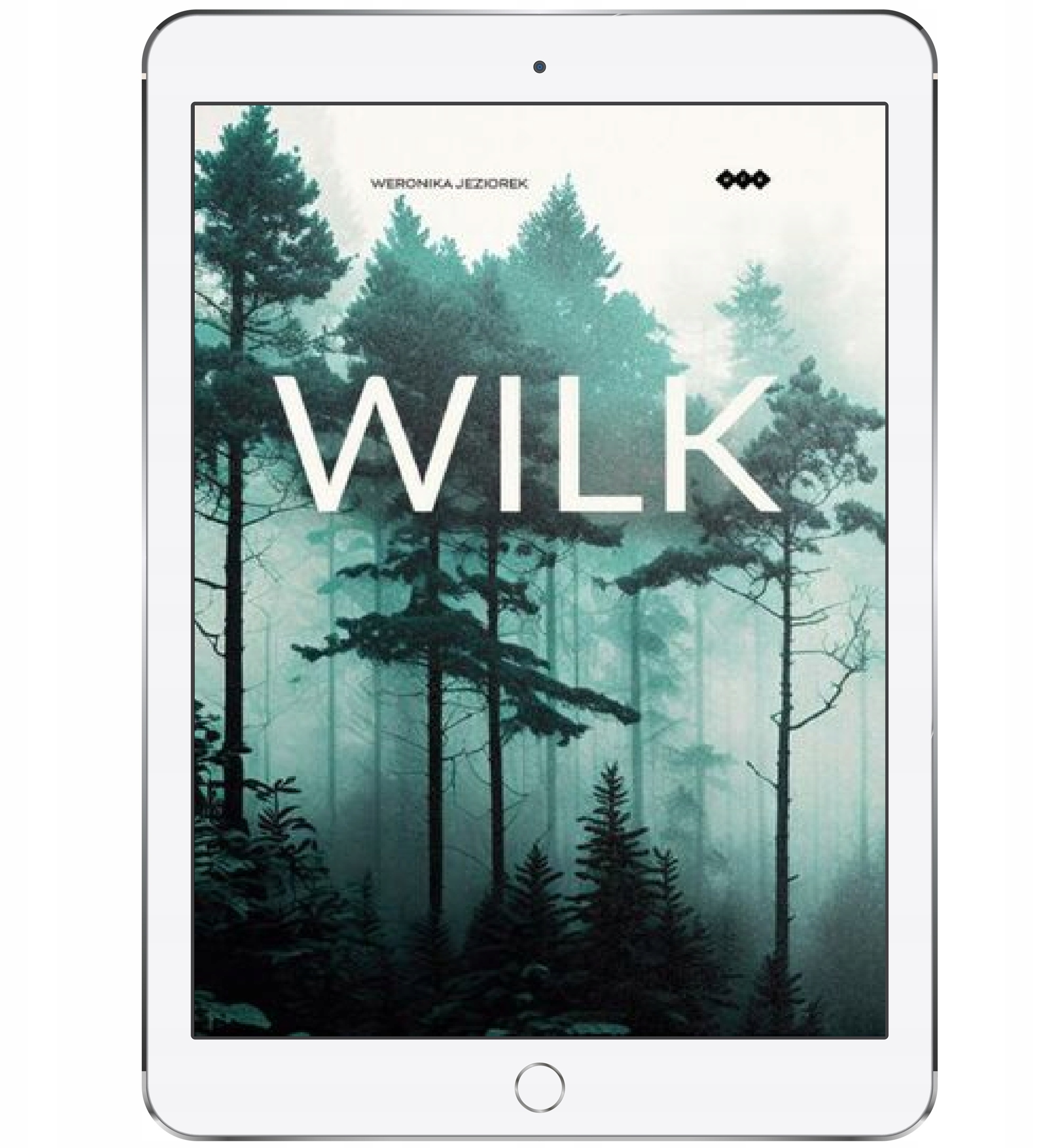 Format pliku i wymagania techniczne