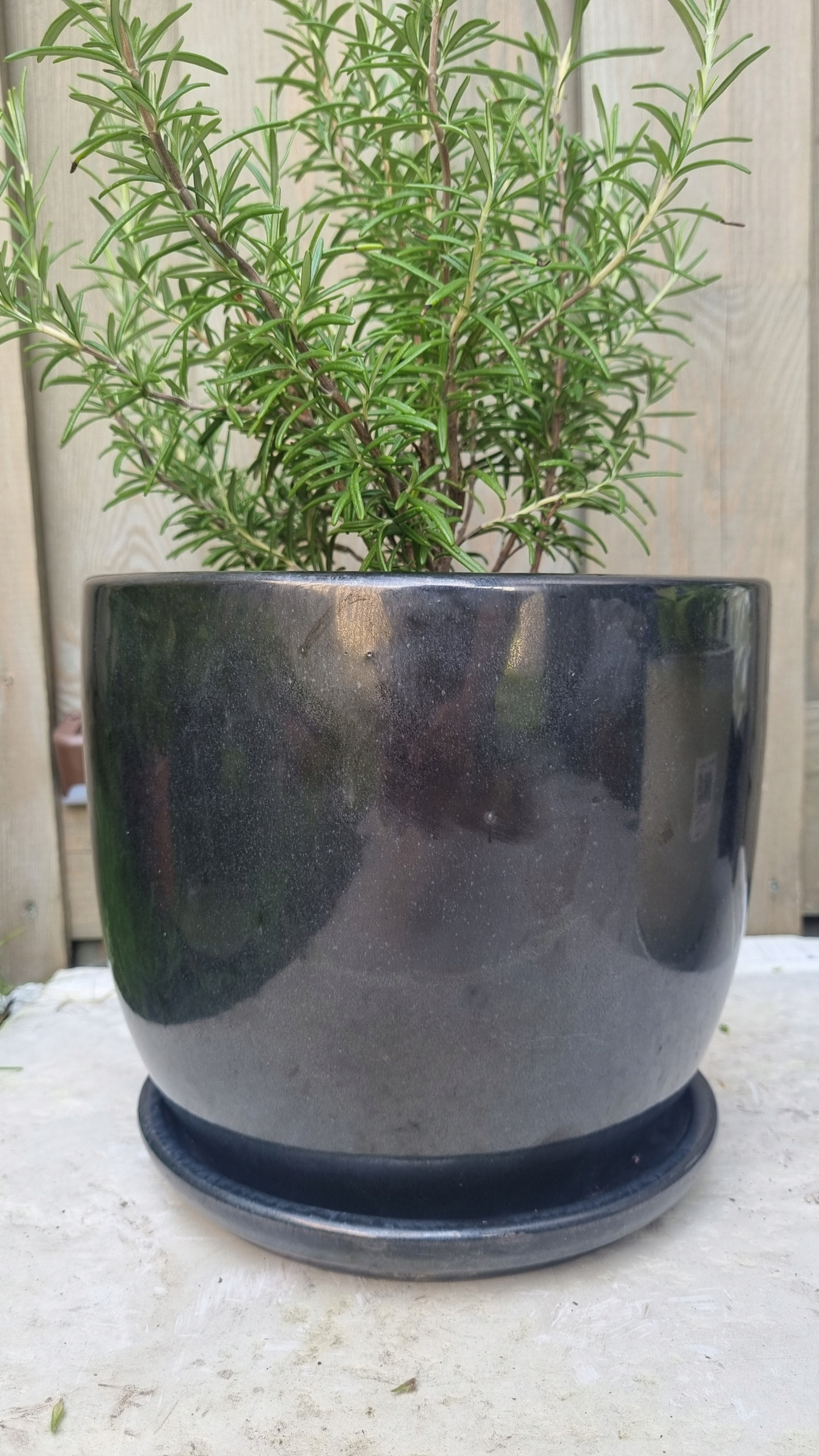 Klasyczny kształt i funkcjonalność – Otwór drenażowy dla zdrowych roślin