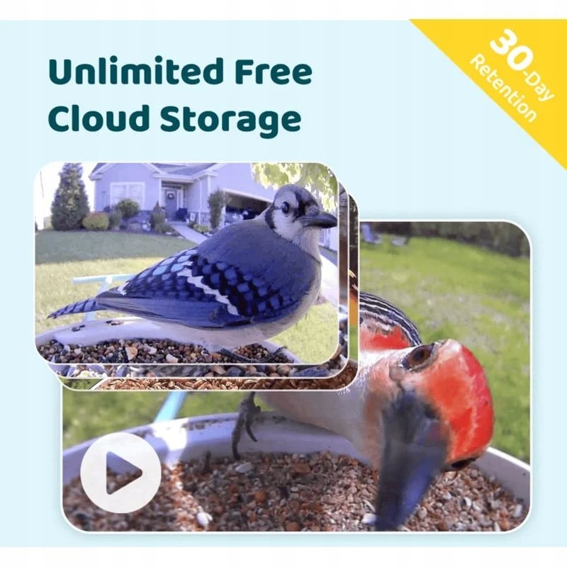 Aplikacja mobilna Birdfy – Twoje centrum ornitologiczne