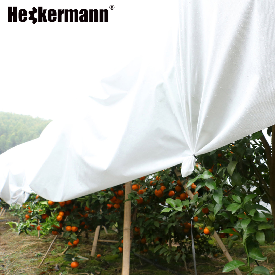 Biała agrotkanina – Odbijanie słońca i ochrona przed przegrzewaniem