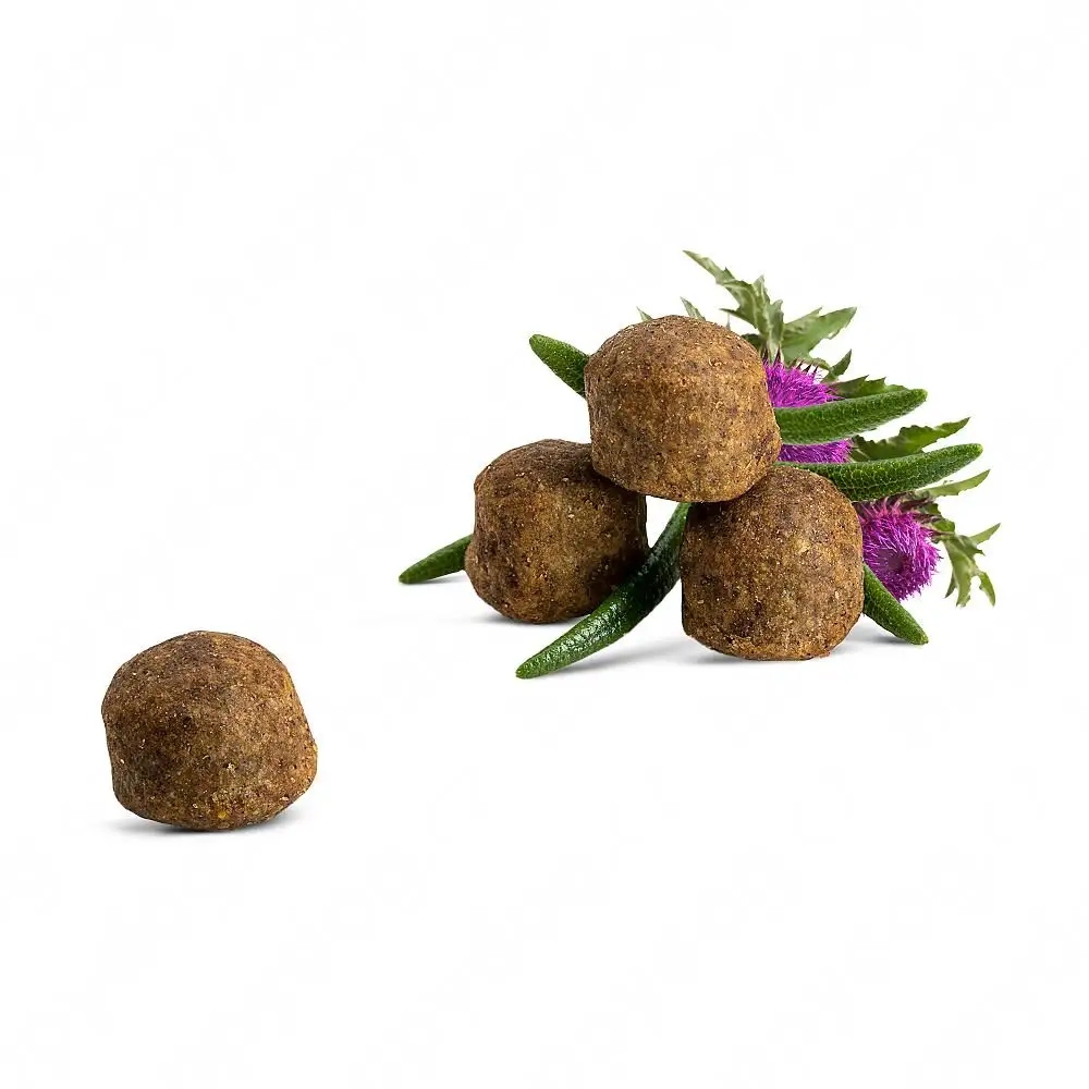 Specjalna formuła dla zdrowego trawienia