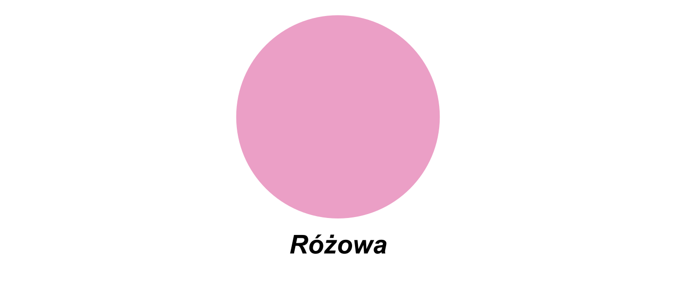 https://mt3ch.pl//storage/Kolory%20-%20r%C3%B3%C5%BCowa.png