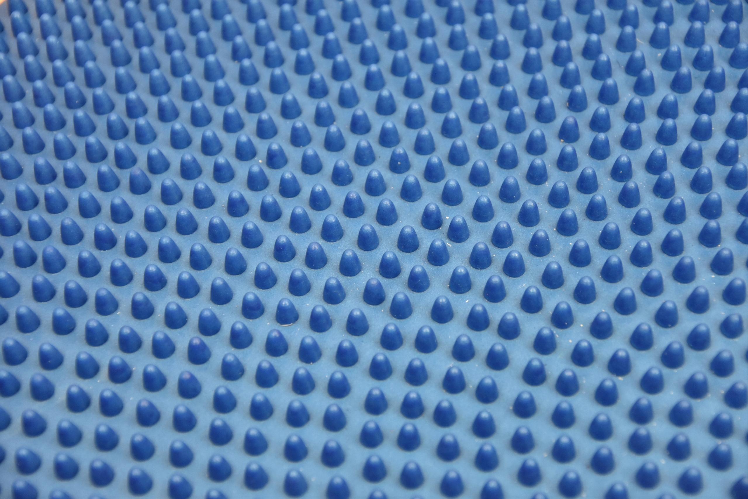 Wszechstronność zastosowania – Trening równowagi dla każdego pupila