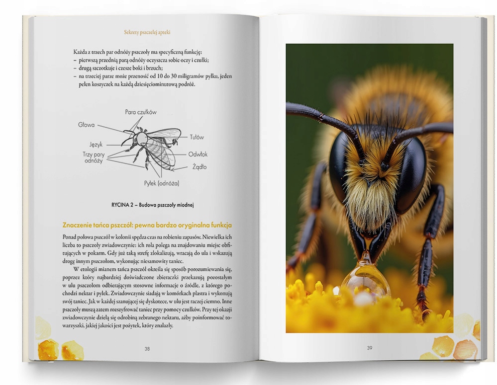 Pszczele skarby: Miód, propolis, pyłki i mleczko