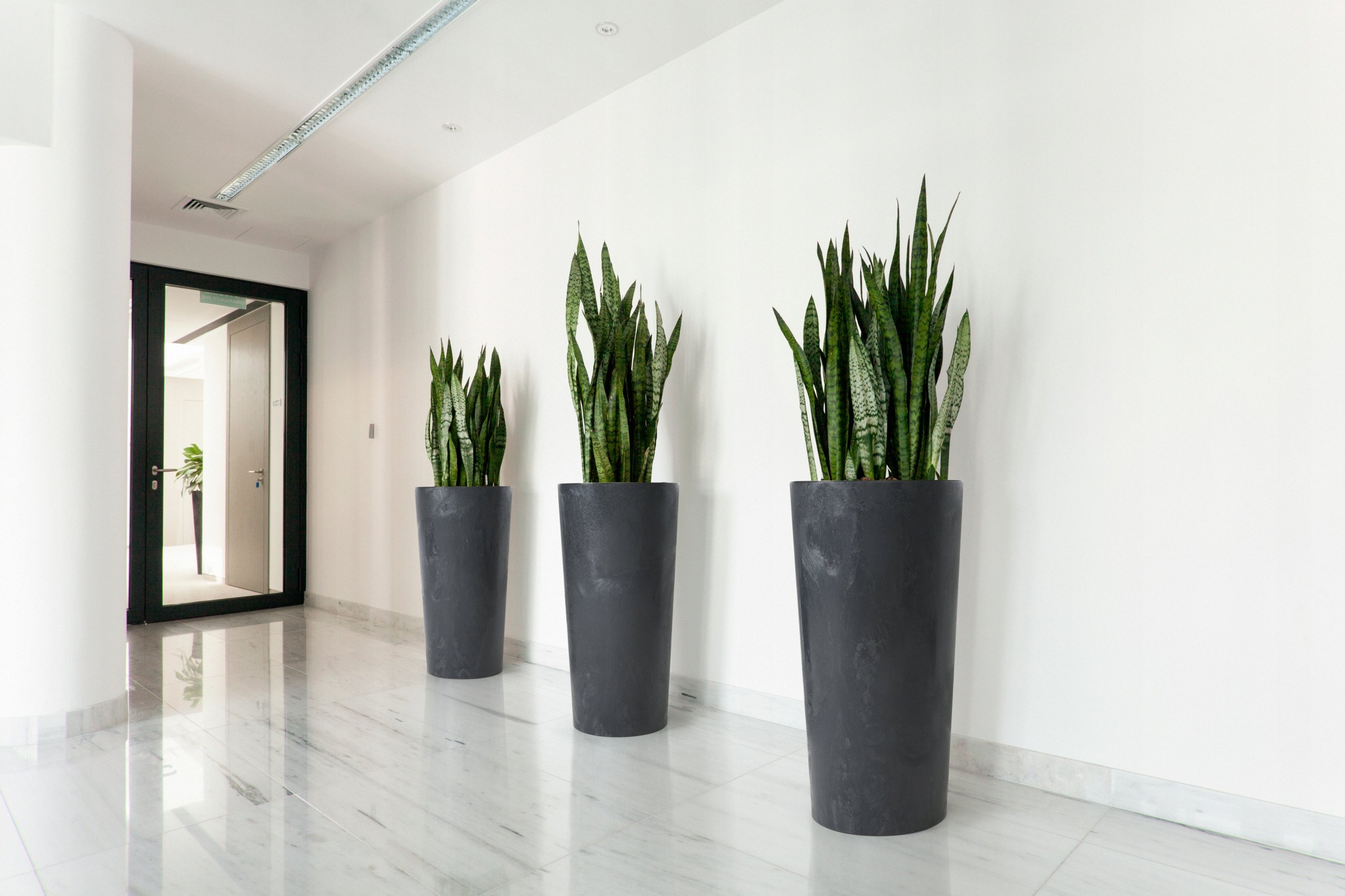 Donica JUKA 190x190 ECO recycled - czarny beton LA551-71 LAMELA – Elegancka donica do każdego wnętrza