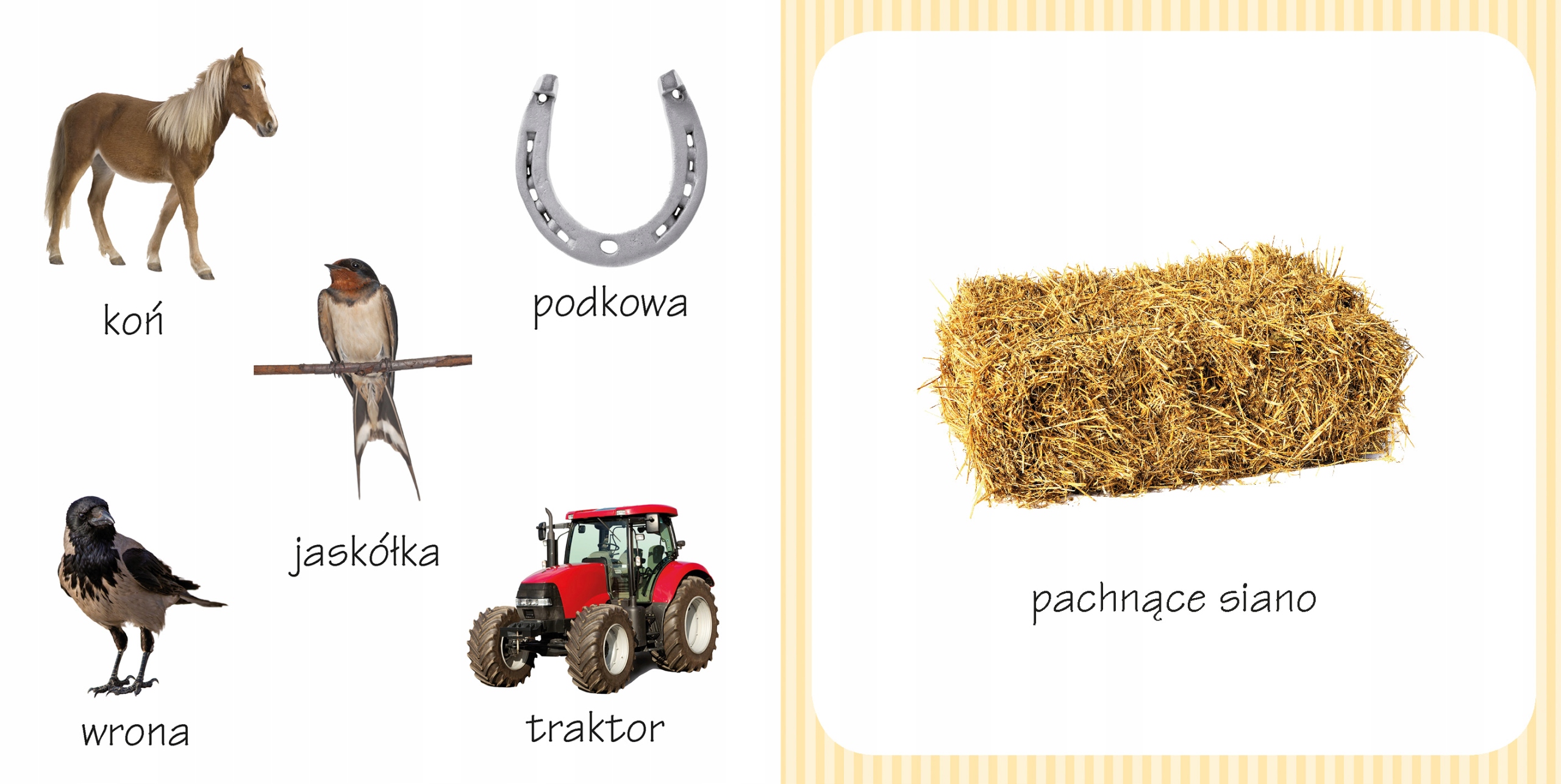 Wzbogacanie słownictwa i trening małej motoryki