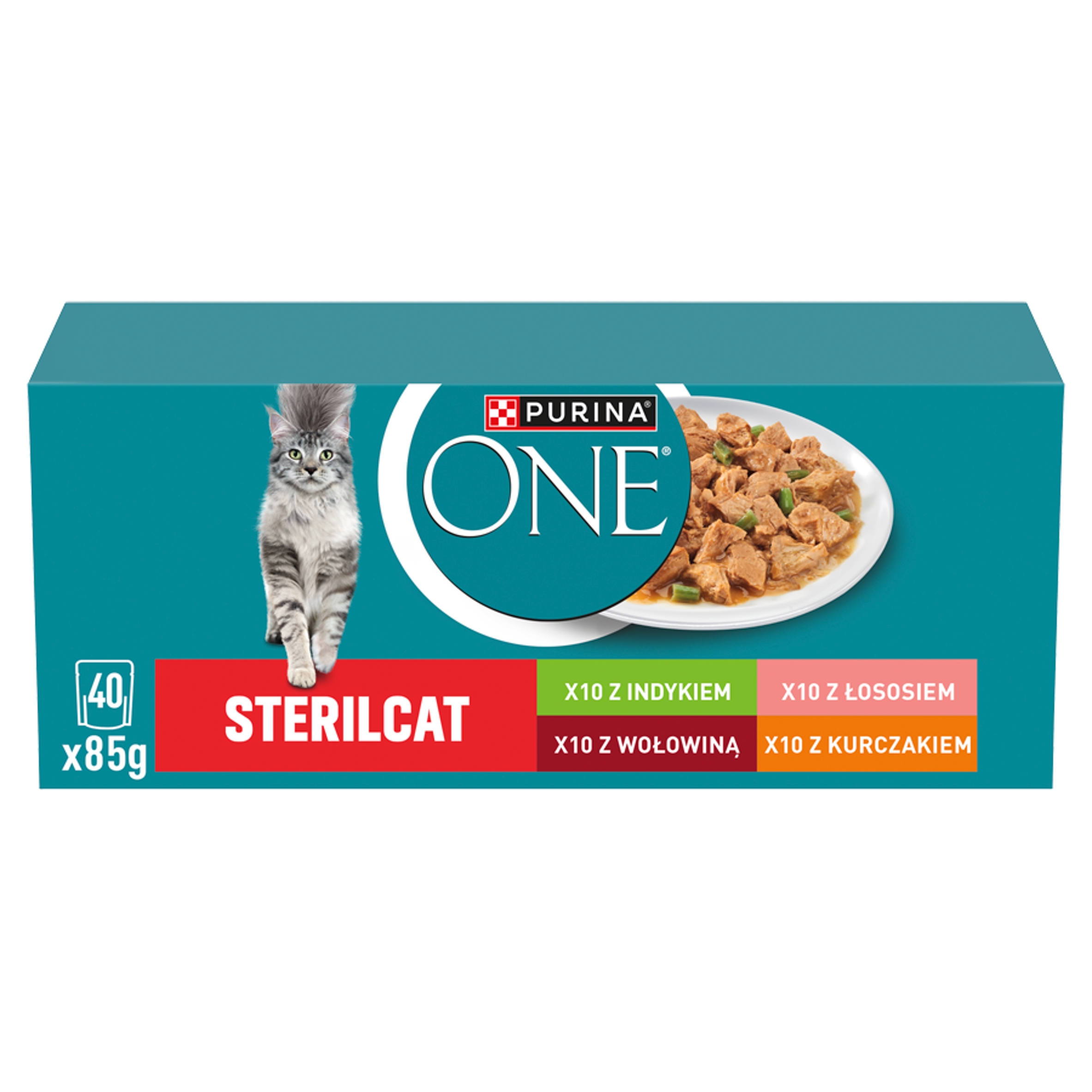 Zrównoważona dieta wspierająca zdrowie kota