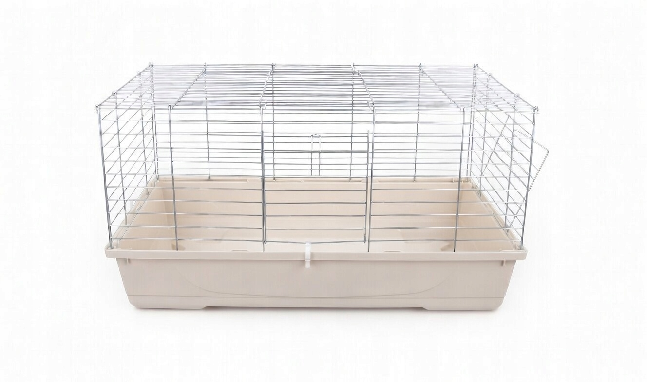 Wymiary i Ergonomia – Idealne Warunki dla Twojego Pupila