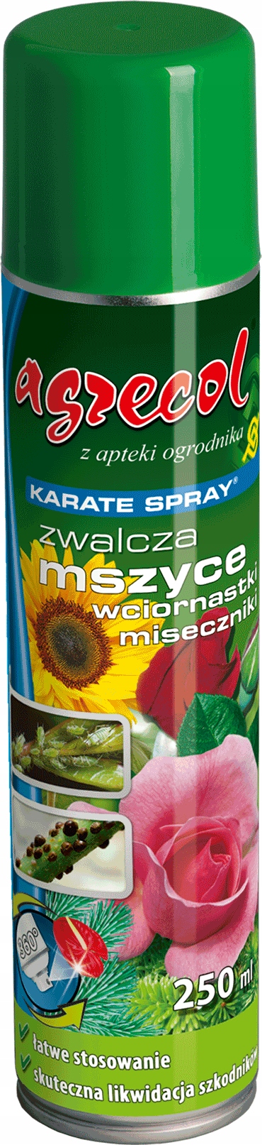 Obrazek