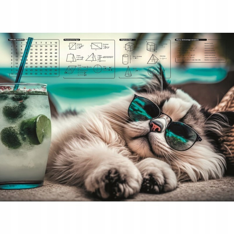 Wymiary maty: 58 cm x 41,5 cm