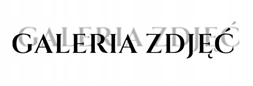 Wyposażenie i dodatkowe funkcje – Komfort i bezpieczeństwo