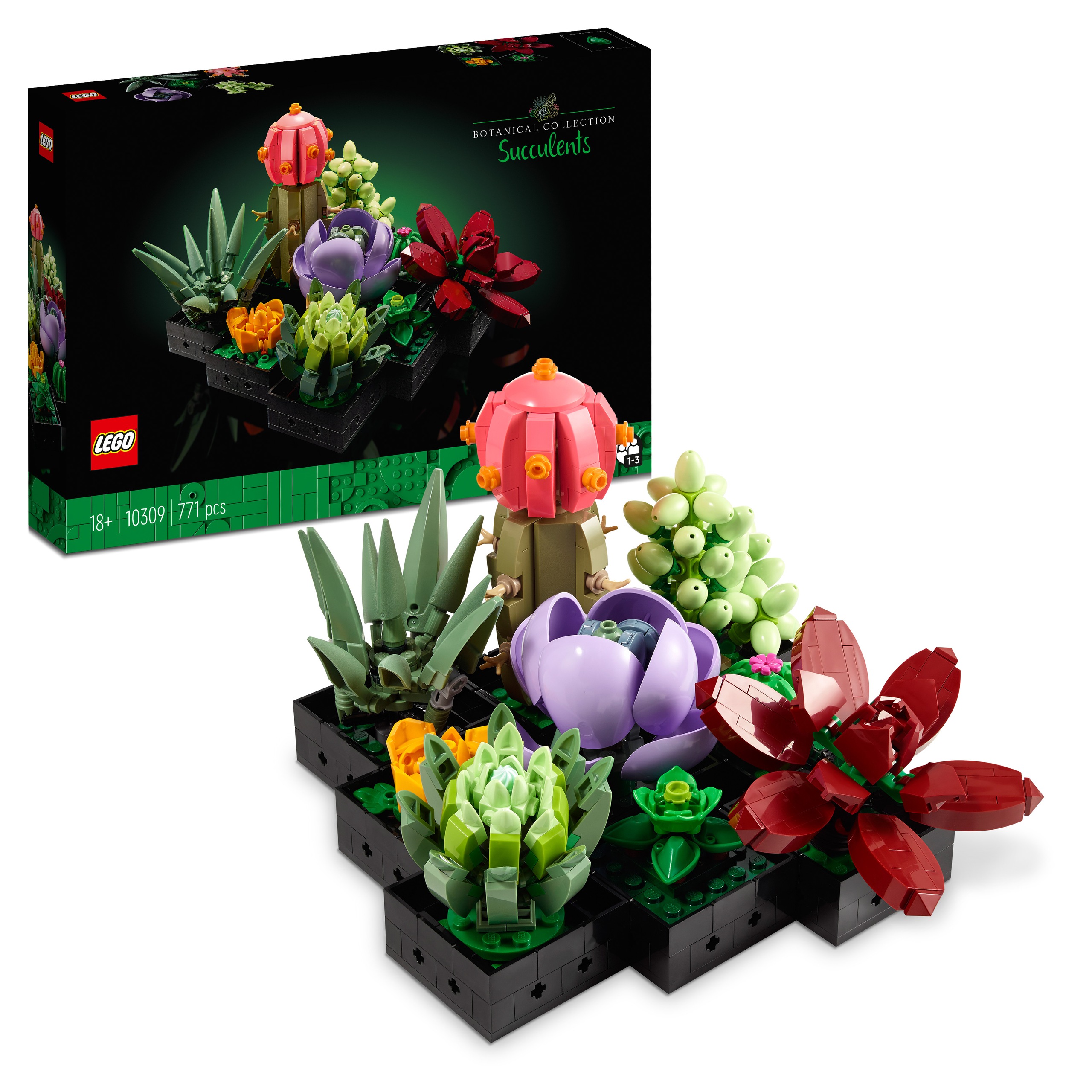 LEGO Creator Sukulenty (10309) – Twórz piękne dekoracje w swoim domu