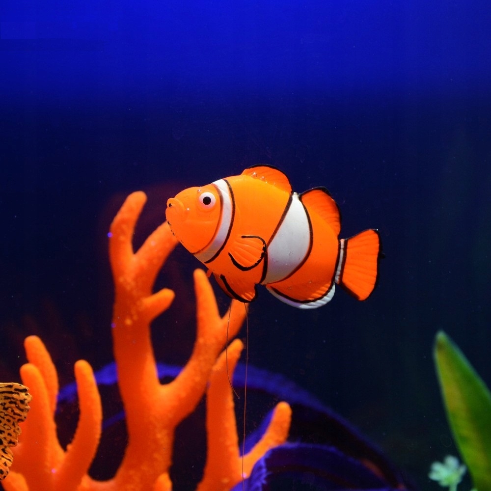 Sztuczna rybka Nemo – Pływająca atrakcja w Twoim zbiorniku