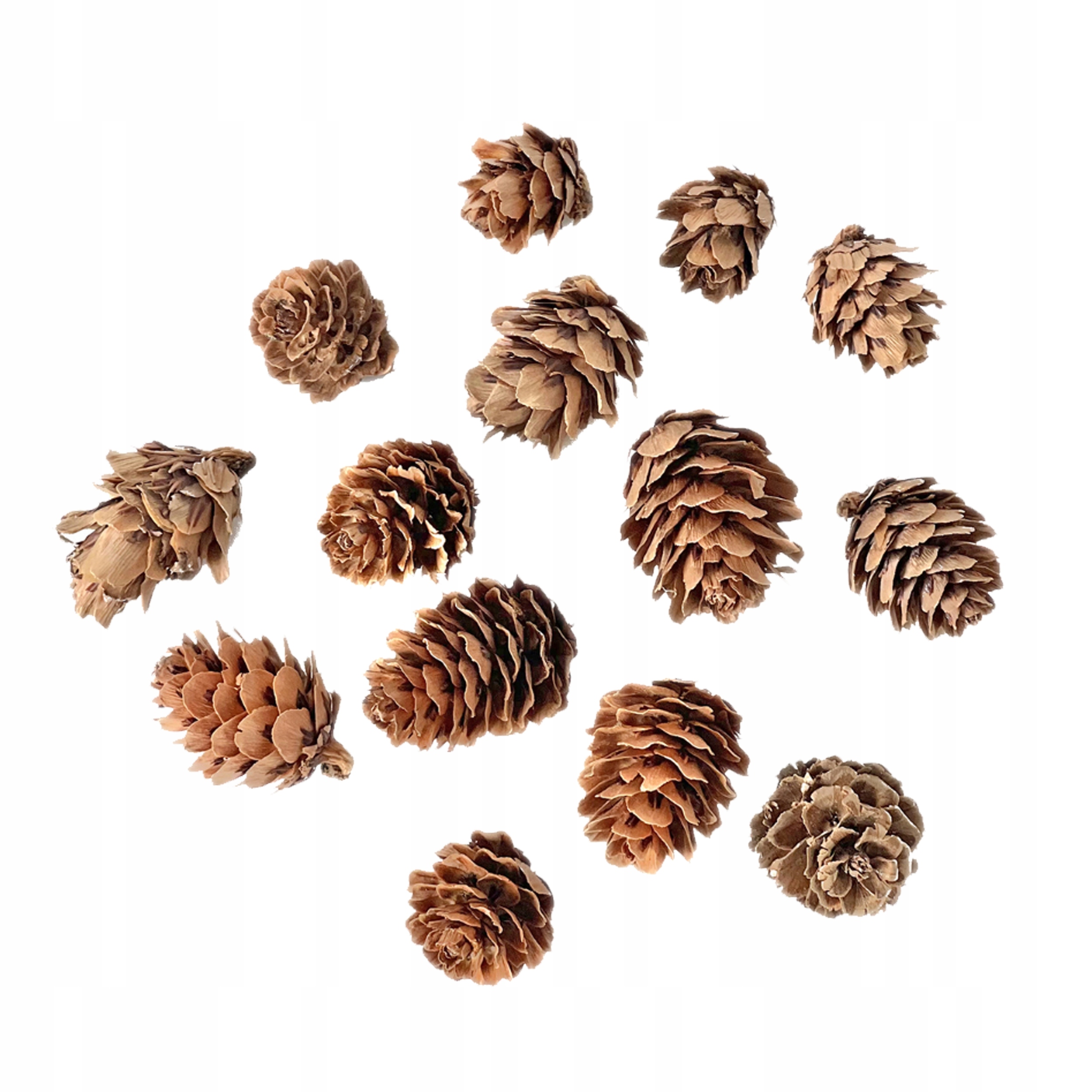 Mini szyszki dekoracyjne 25g – Naturalny element dekoracji