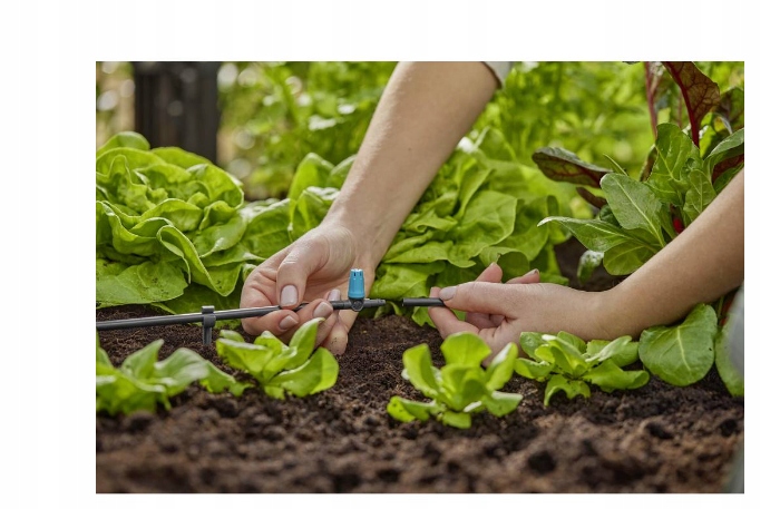 Gardena GARDENA Micro-Drip-System Dysza Małopowierzchniowa – Idealne rozwiązanie do nawadniania