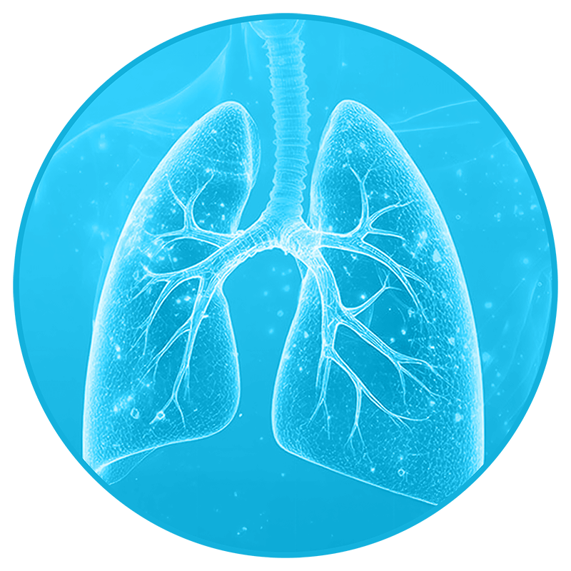 Duży, cyfrowy wyświetlacz – Kontrola i precyzja inhalacji
