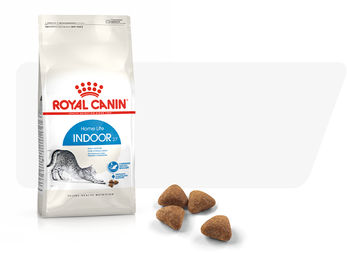 dry-food