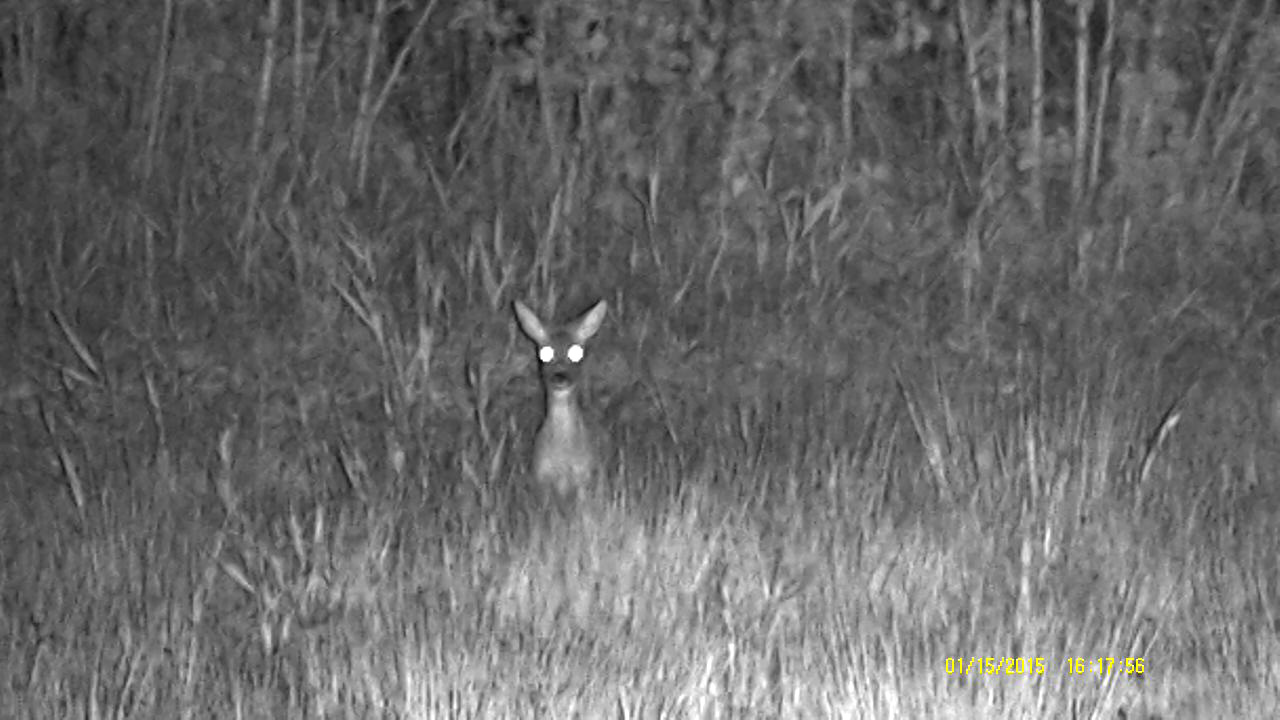 Nowoczesny design i intuicyjna obsługa