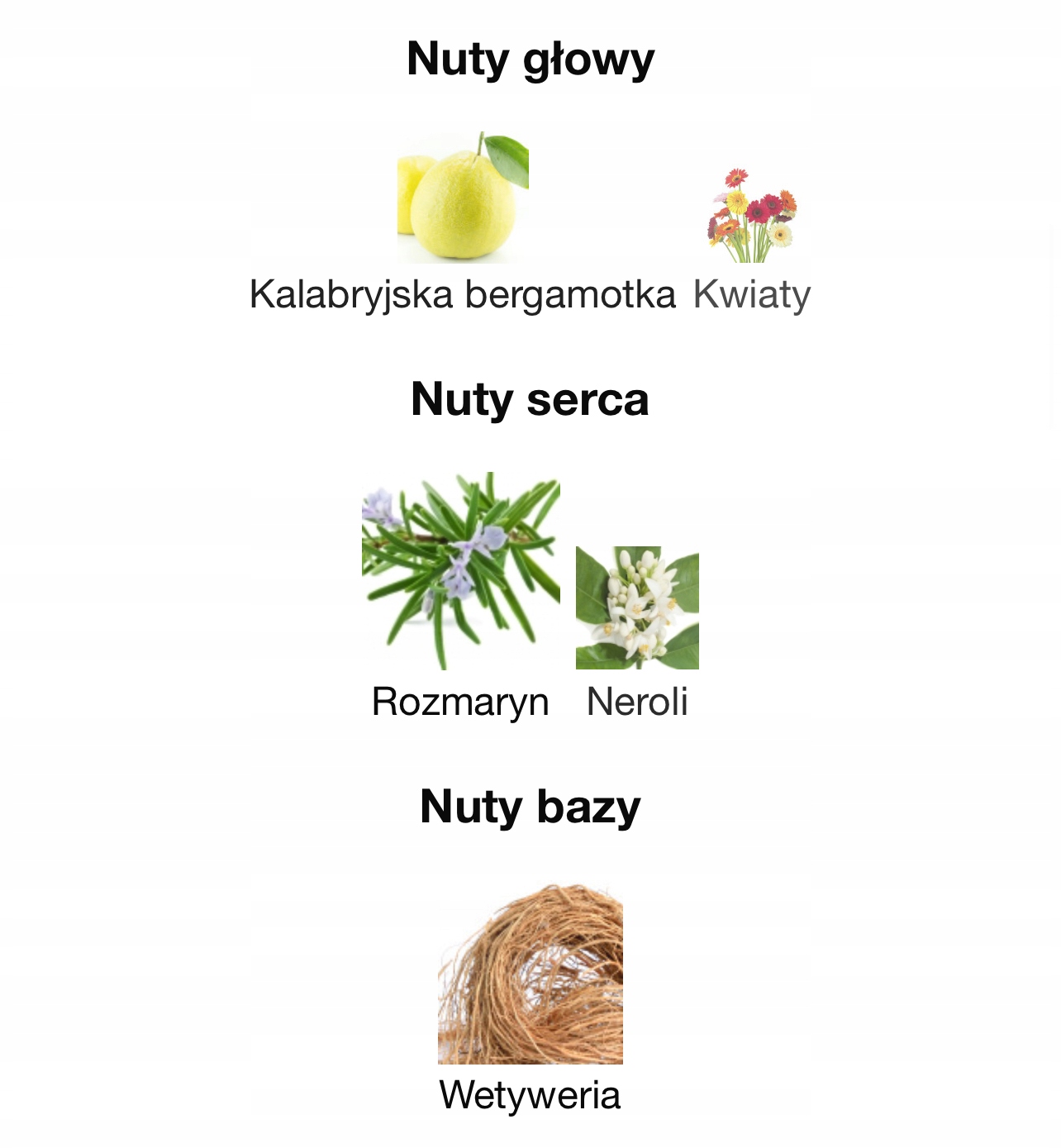 Głęboki aromat wetywerii w nutach bazy