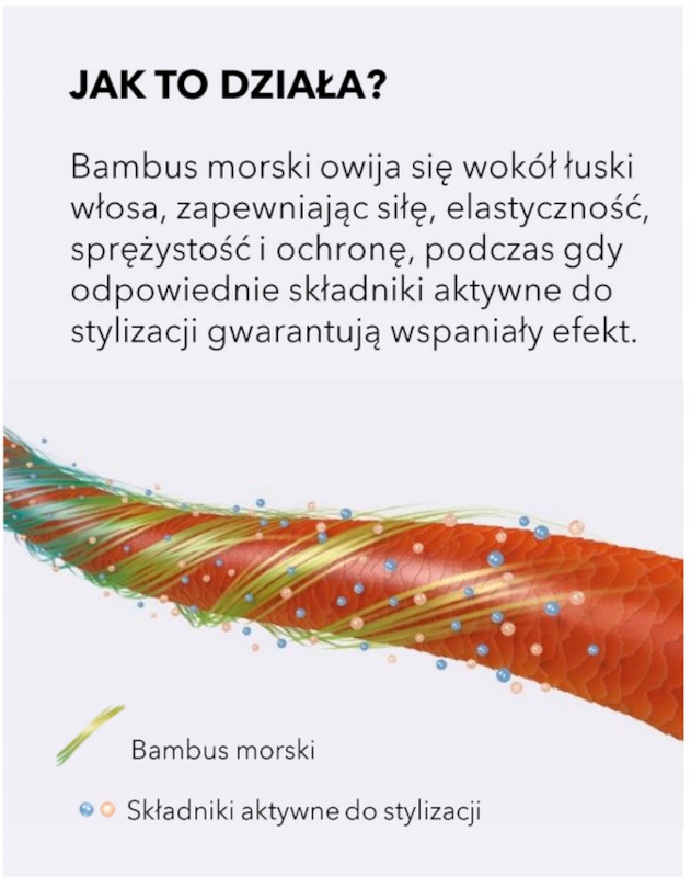 Innowacyjna technologia z wykorzystaniem bambusa morskiego
