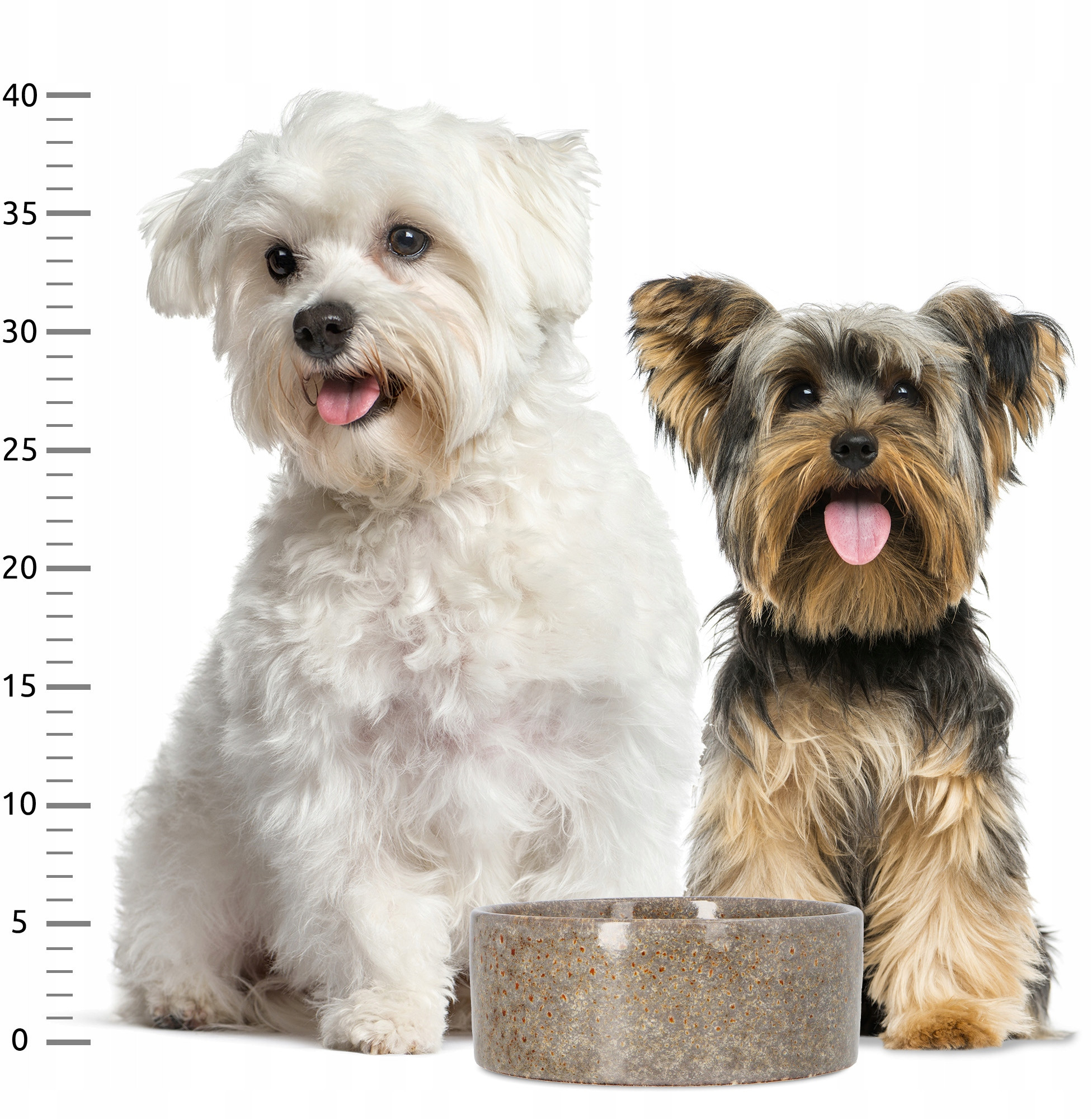 Przeznaczenie – Idealna do karmy i wody