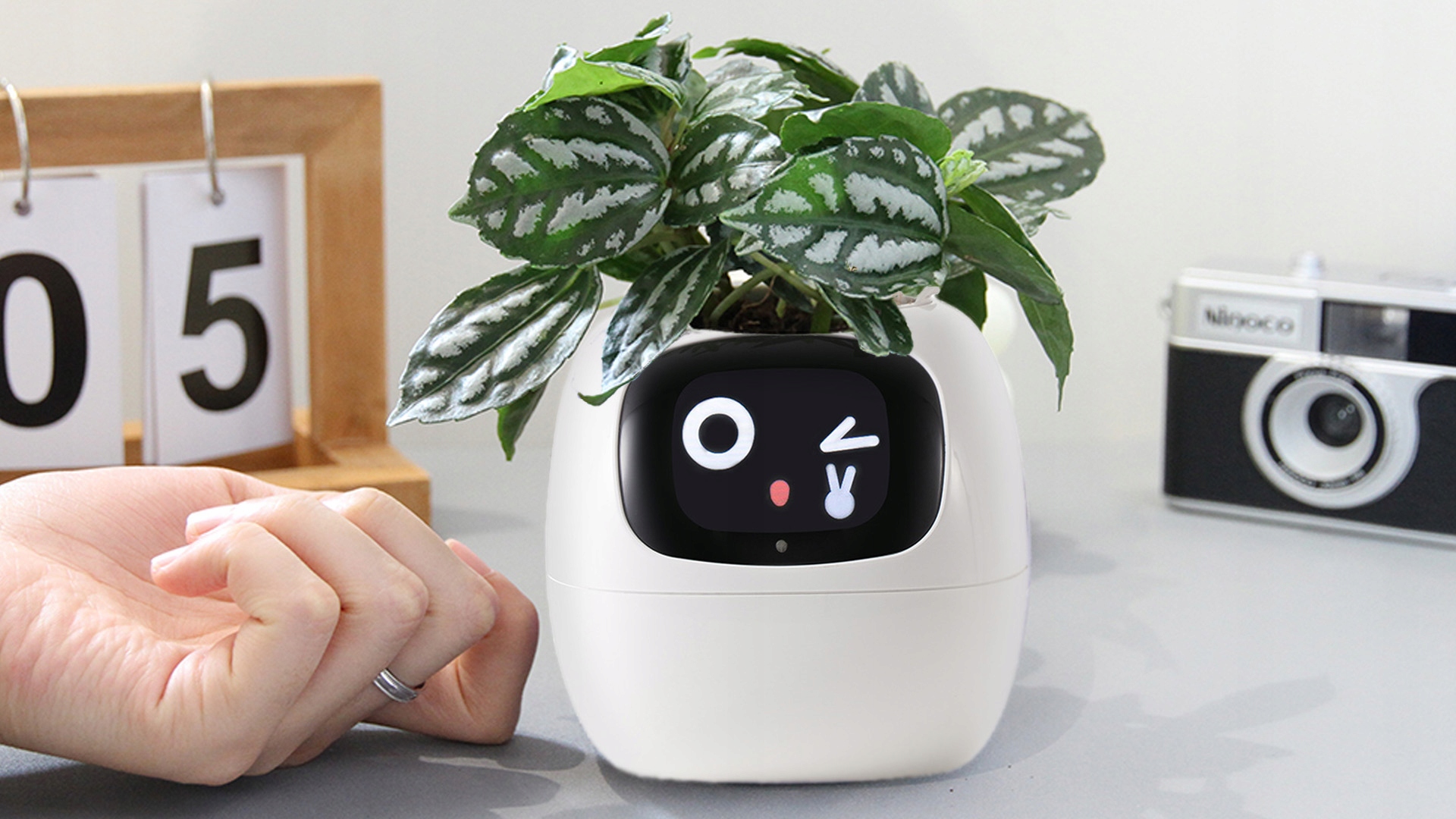 Interaktywne funkcje i emocje Twojej doniczki