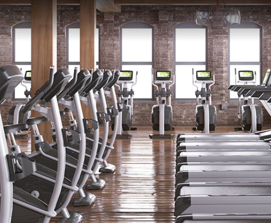 komercyjny sprzęt bh fitness lk line