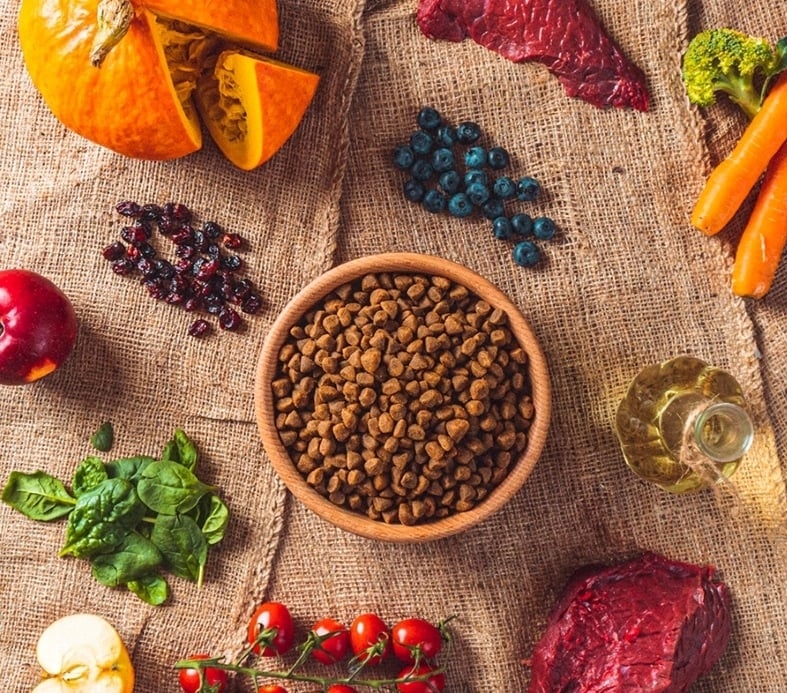 Wysokiej jakości składniki odżywcze w karmie wołowej