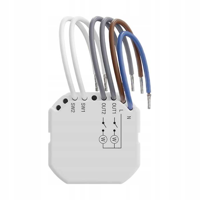 Funkcjonalność dwukanałowego sterownika ASW-220