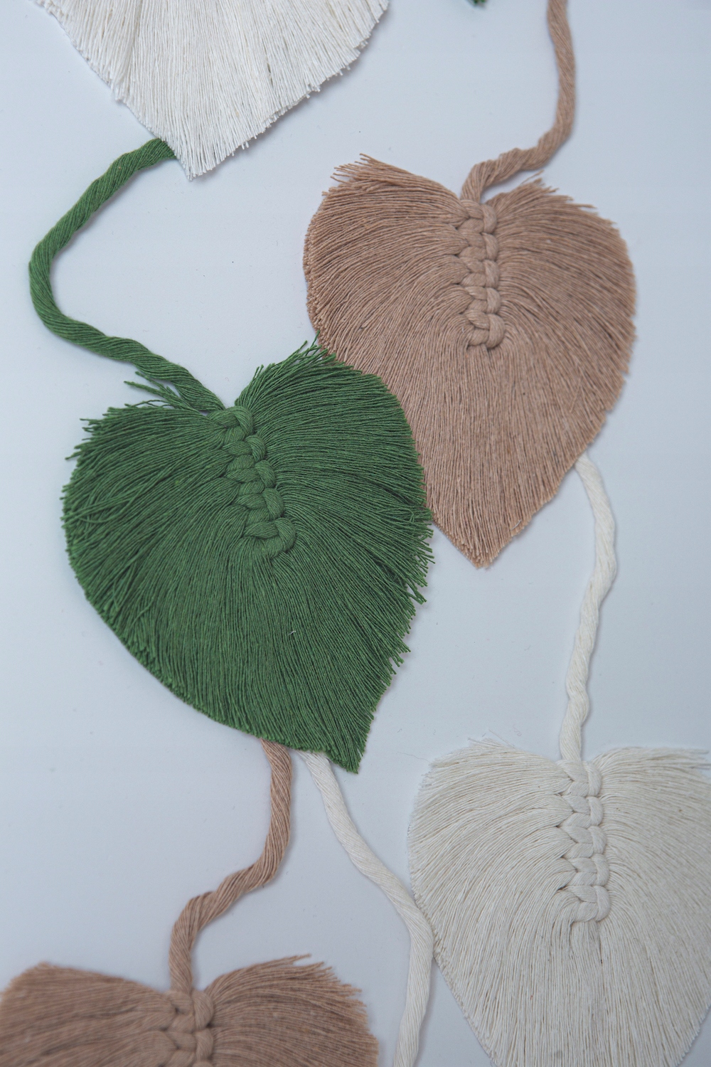 e388000b44bbb4dcb74d43504c69