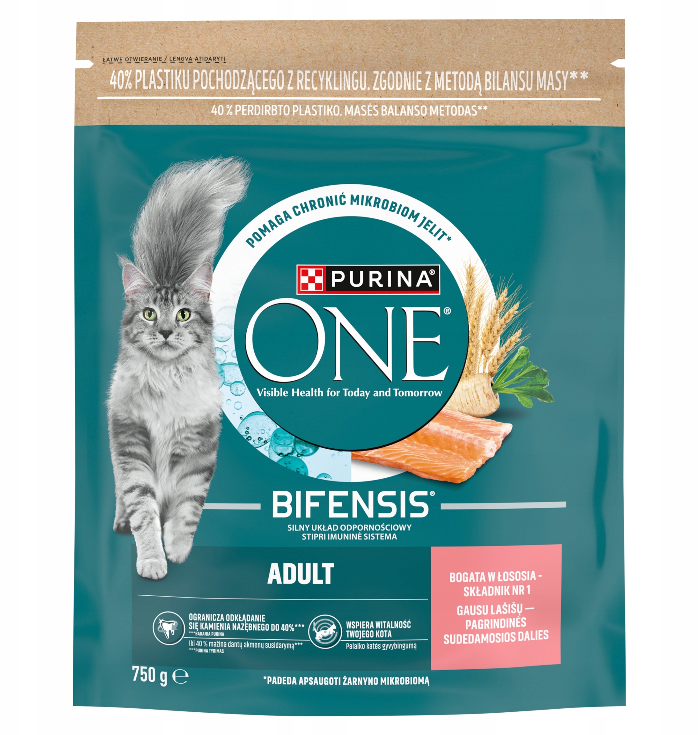 PURINA ONE Bifensis Adult Karma dla dorosłych kotów bogata w łososia – Zdrowie Twojego kota na pierwszym miejscu