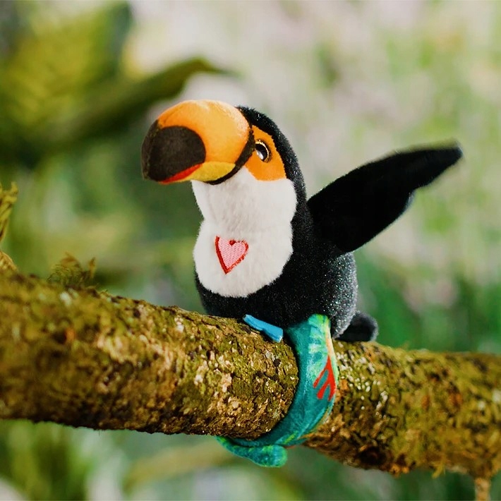 Powtarzanie słów i śpiewanie – interaktywne funkcje tukana