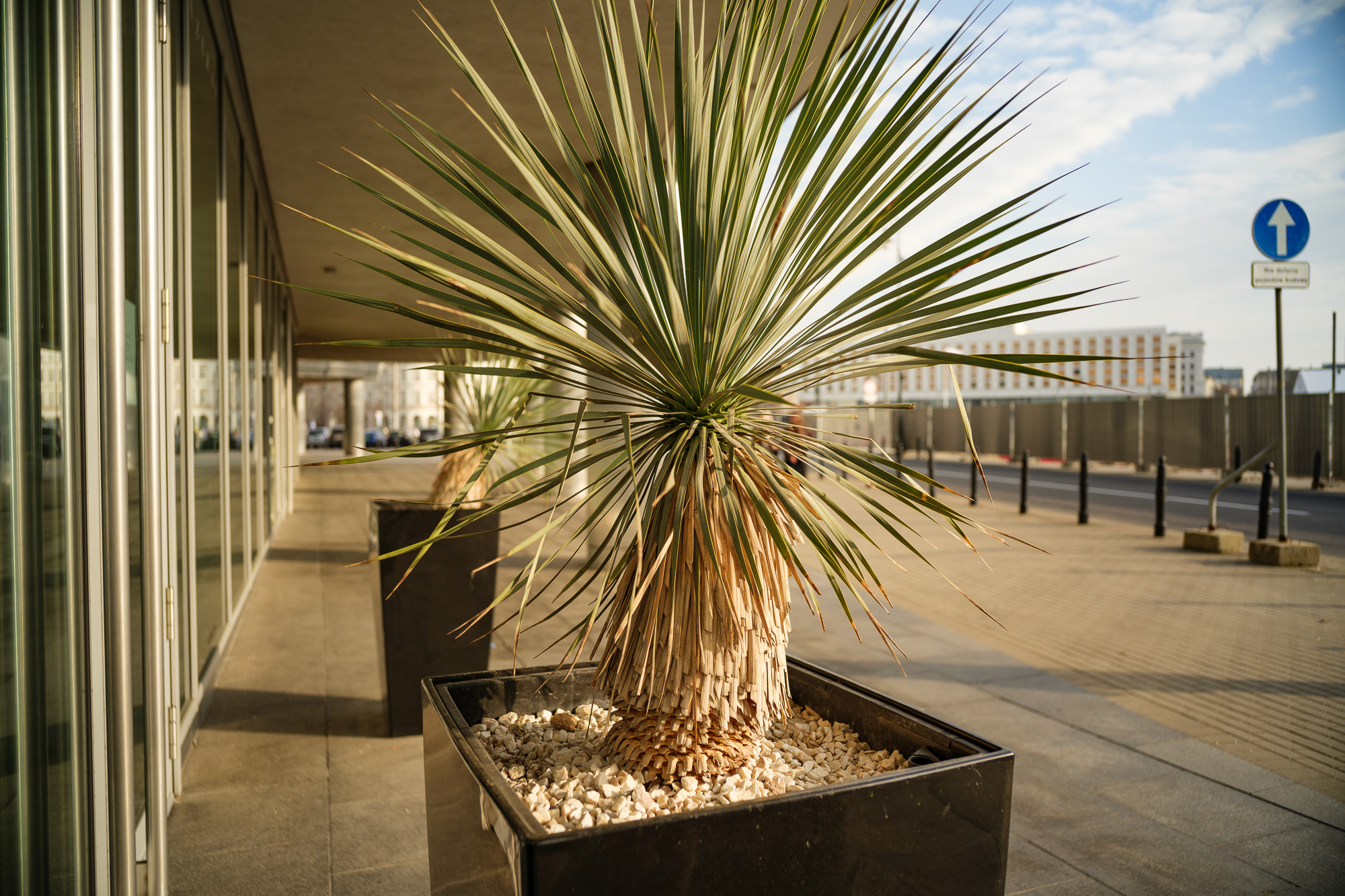 Obiektyw Voigtlander Nokton II Vintage Line 28 mm f/1,5 do Leica M - czarny