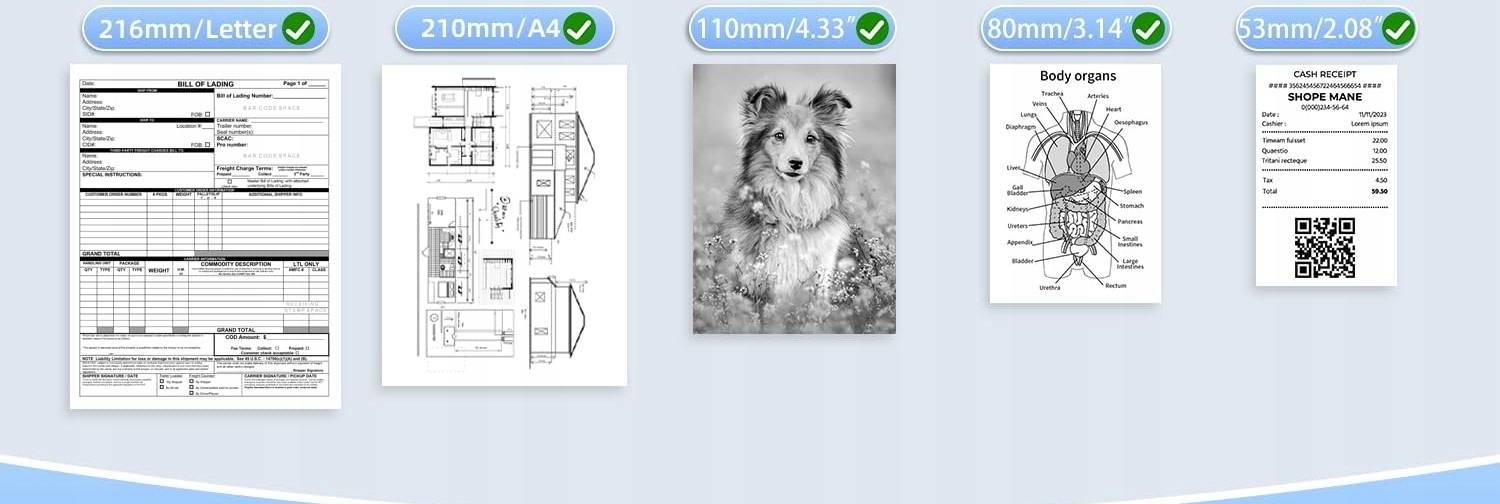 Funkcjonalność w biurze i w szkole – wszechstronność zastosowań