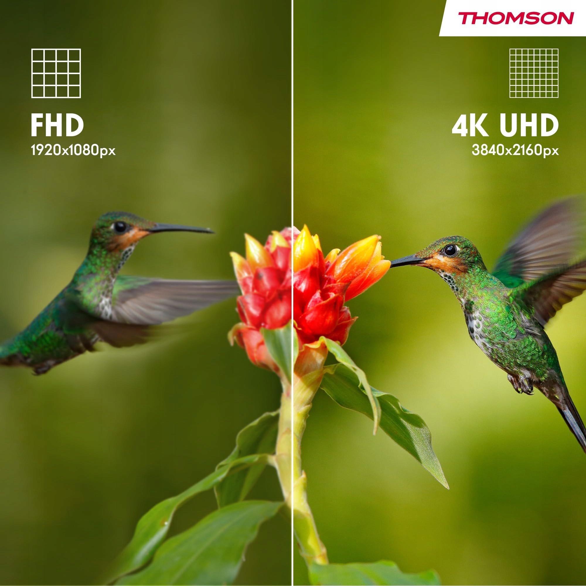 Wysoka rozdzielczość 4K UHD – Krystalicznie czyste obrazy
