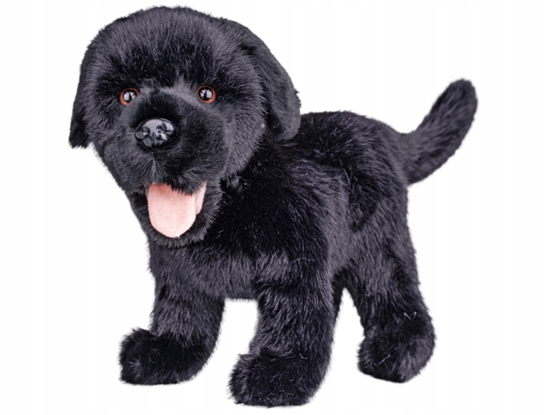 Wysokość maskotki: 23 cm