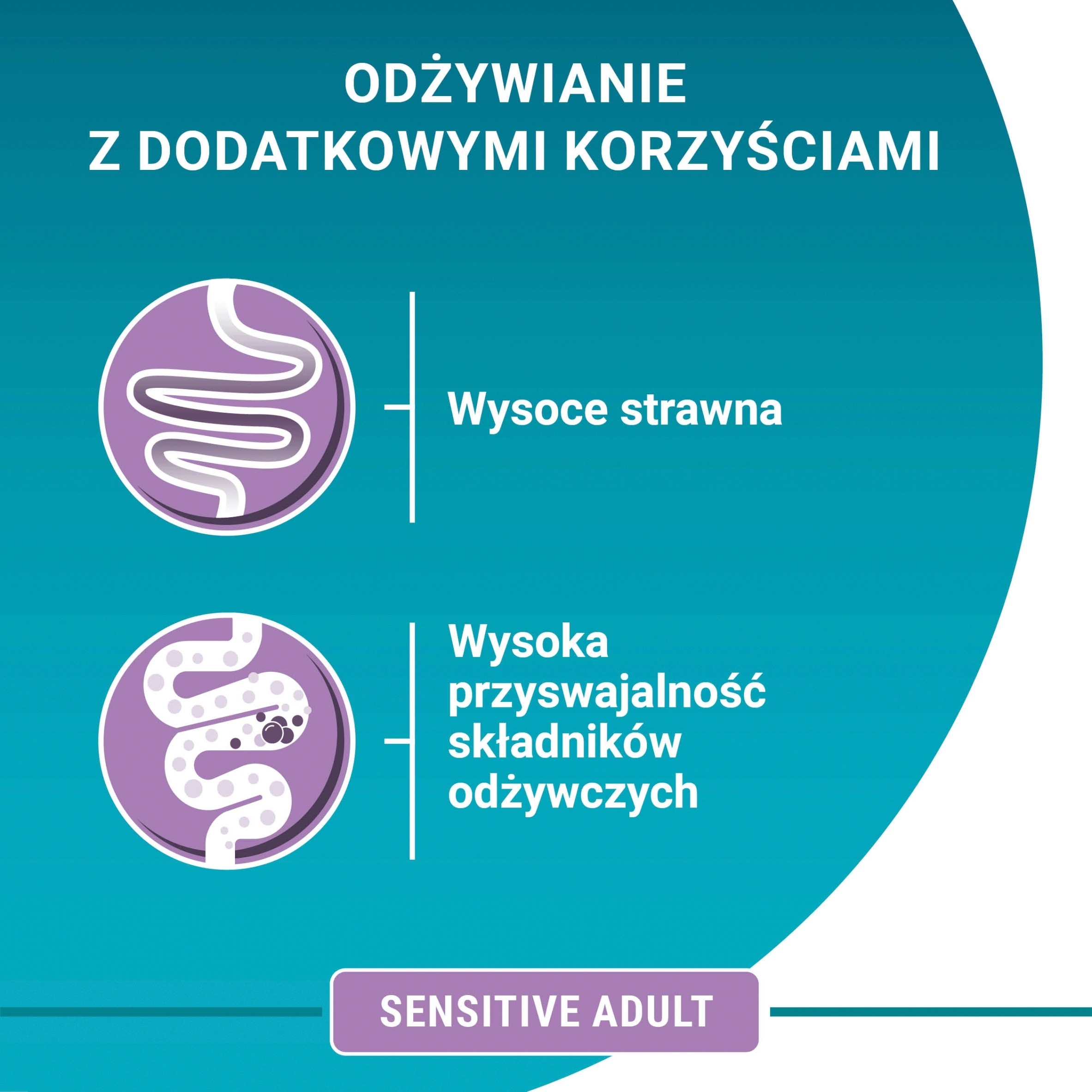 Doskonałe źródło białka i kwasów tłuszczowych Omega