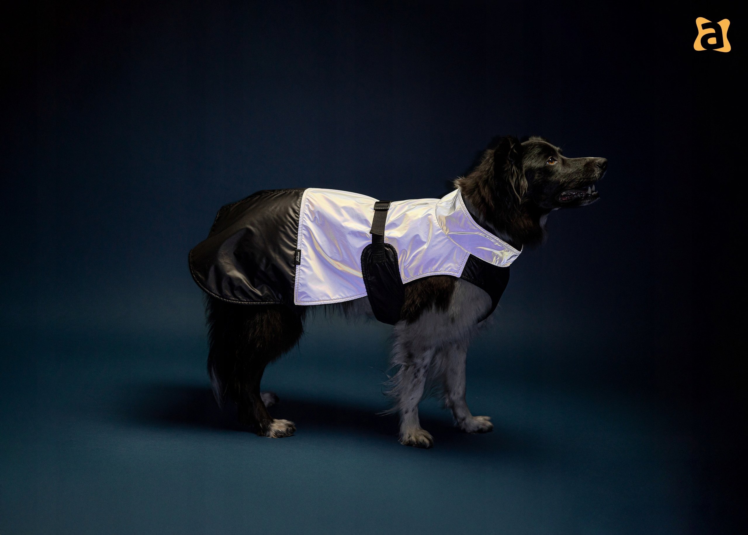 Bezpieczeństwo po zmroku – Fluorescencyjny materiał z odblaskiem