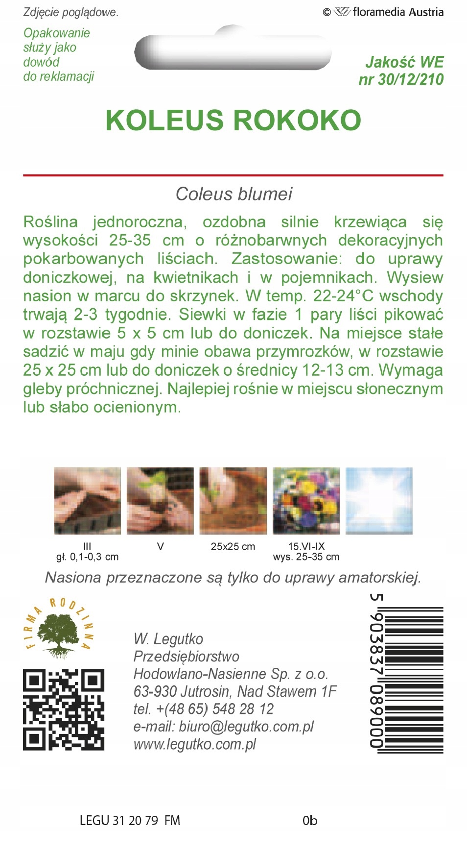 Koleus Rokoko Mieszanka – Ozdobna roślina do Twojego ogrodu