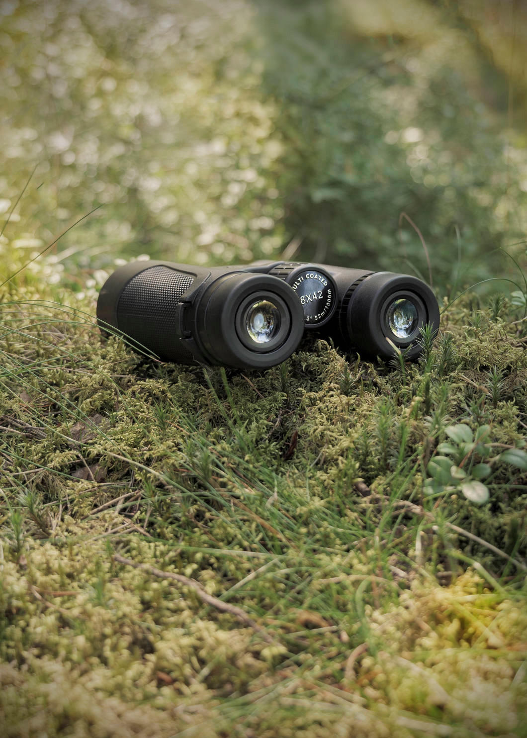 Lornetka Focus Bright 8x42 – Idealny towarzysz w odkrywaniu przyrody