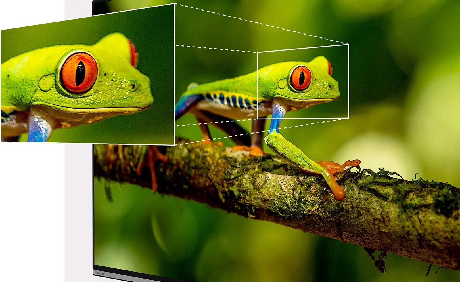 Dolby Vision HDR – Zobacz każdy szczegół w niesamowitej jakości