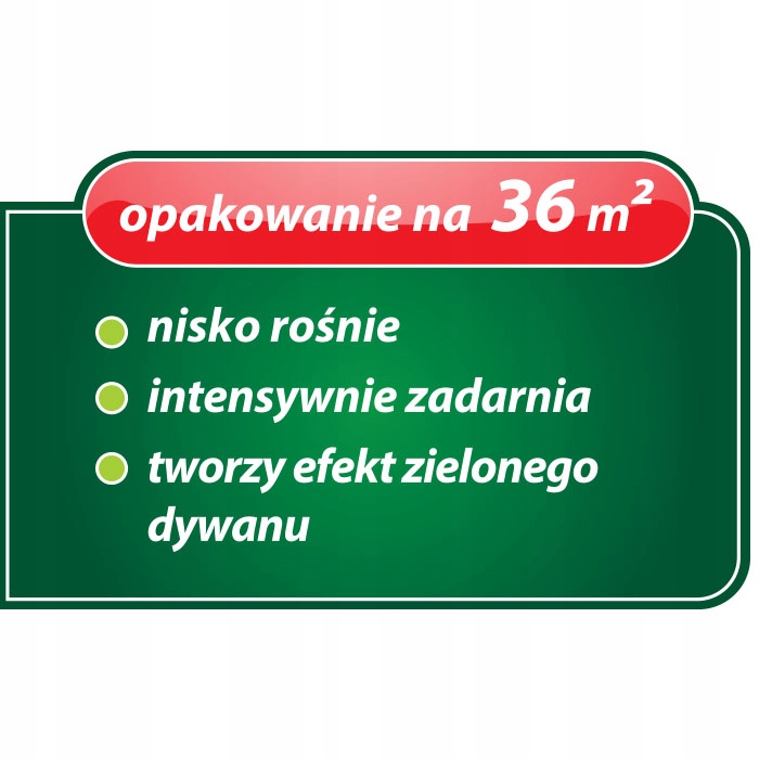 Ozdobny charakter mieszanki – Doskonała do przestrzeni reprezentacyjnych