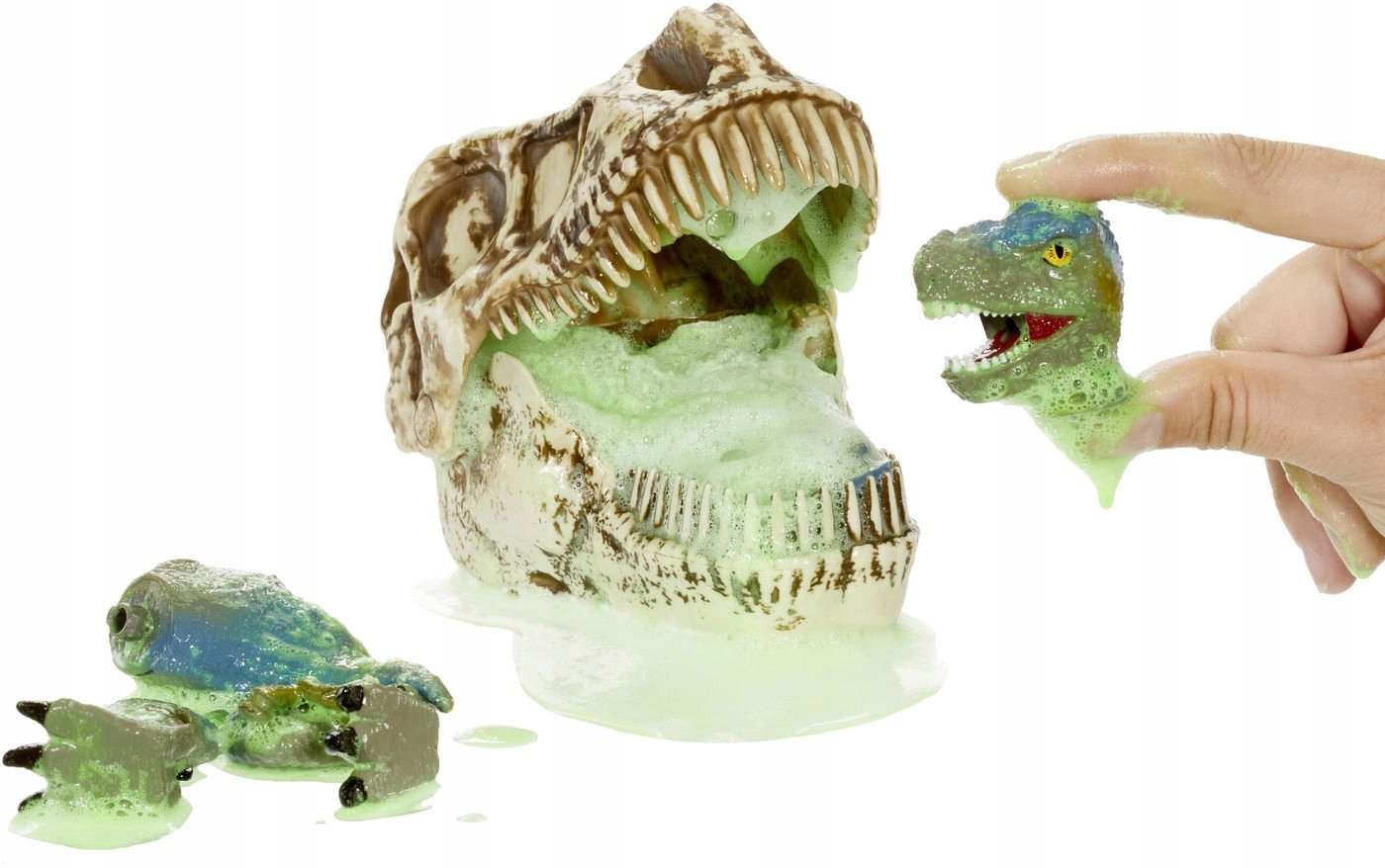 Ekscytujące odkrywanie dinozaurów w czaszce