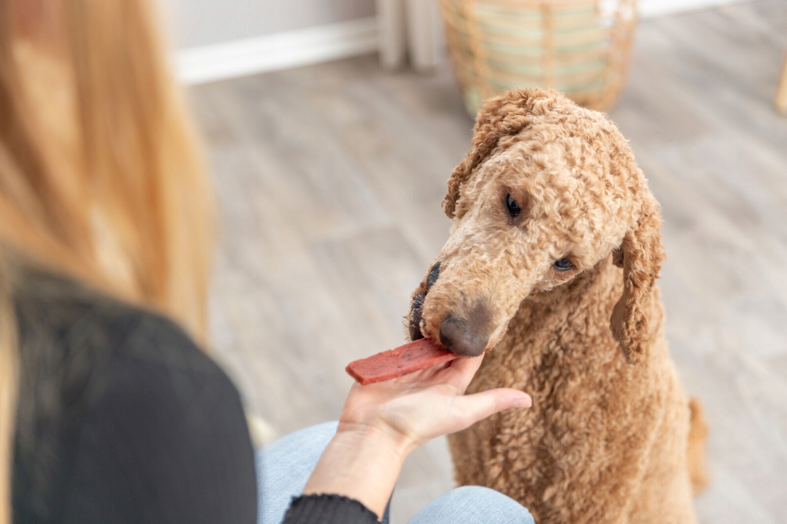 Bezglutenowa formuła – idealna dla wrażliwych psów