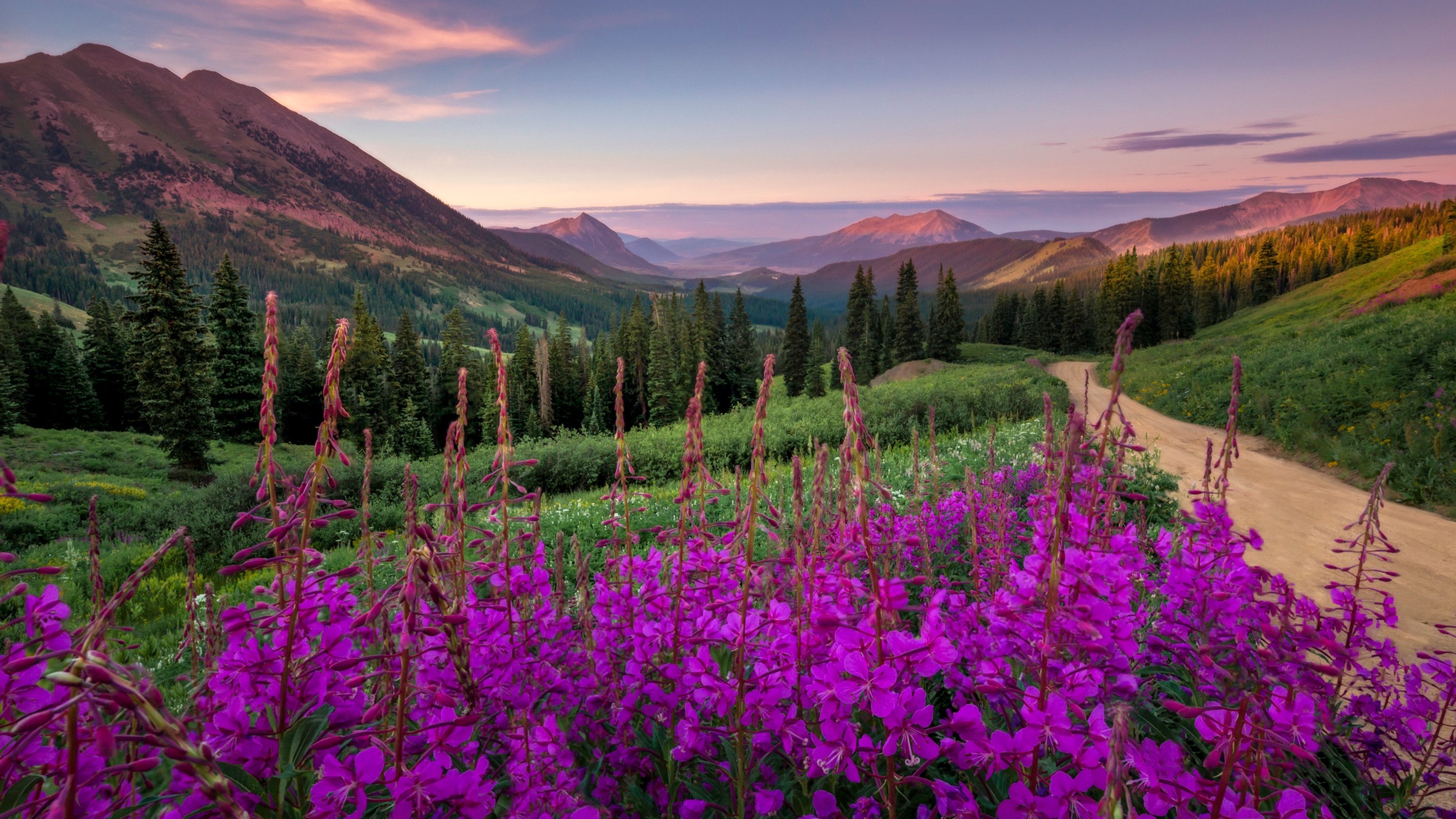 Technologia IPS – Szerokie kąty widzenia i żywe kolory
